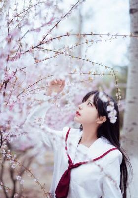 唐朝诡事录之西行免费在线看_超清免费全集观看